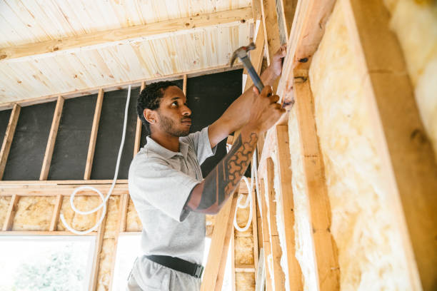 Trusted Belle Isle, FL Insulation Experts